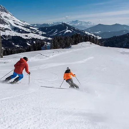 Inviting Holiday In Near Ski Area Ferienhaus